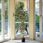 شقة Residenz Bleichroeder - 14 *